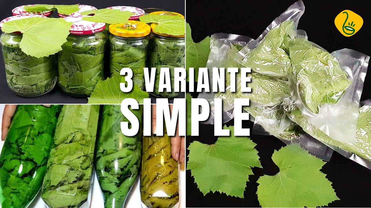 Frunza de vita de vie conservata pentru iarna: 3 metode simple (fara apa, sare sau conservanti!)