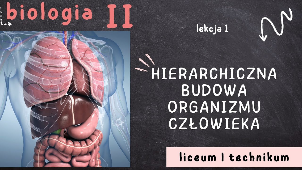 Biologia 2 LO [Lekcja 1: Hierarchiczna budowa organizmu człowieka]