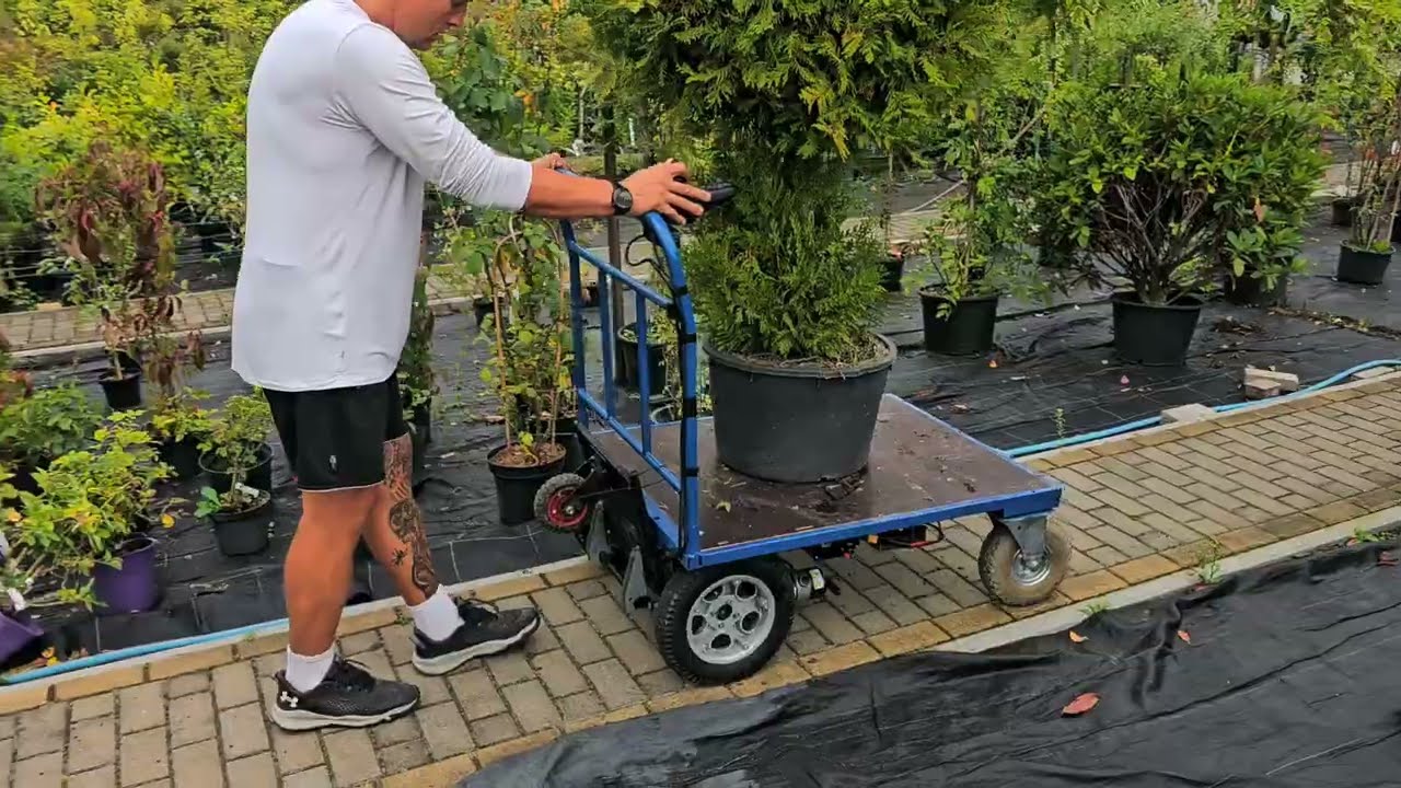 🔋💪 Elektryczny wózek transportowy 😁 do ogrodu, na magazyn lub budowę. 