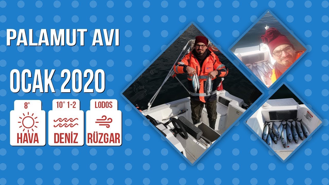 Palamut Avı Bir Başka Viya Boat Sln 4,90 İle