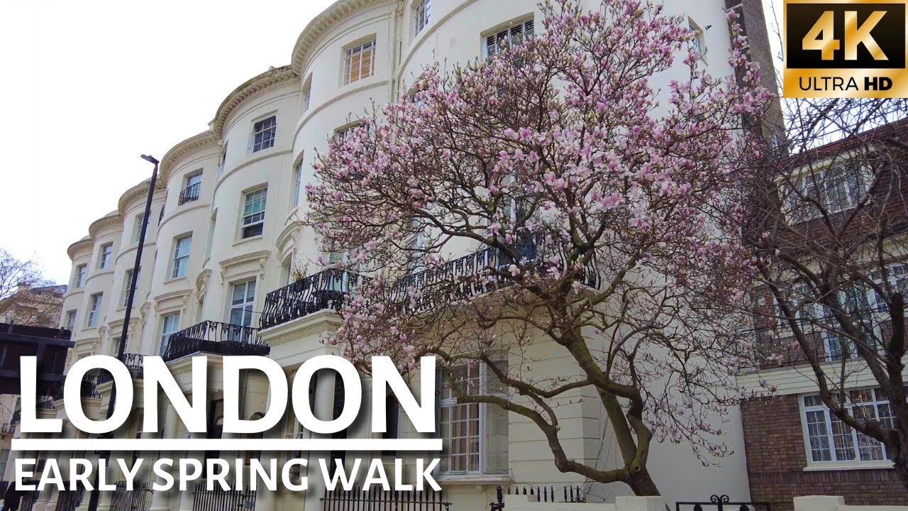 LONDON WALKING TOUR | First Signs Of Spring In Central London Walk With Magnolias 🌷[4K]