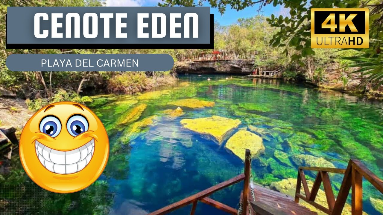El Cenote Jardin del Edén te Espera: ¡Saltos y Emoción Sin Límites!
