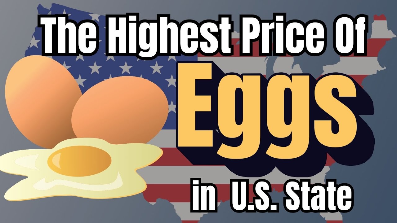 The Average Price of Eggs in Every U.S. State 🥚 | Egg Prices Ranked by State from Highest to Lowest