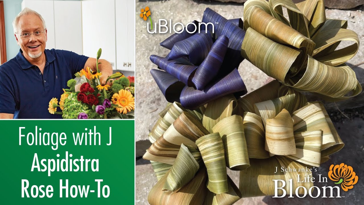 DIY- How to make an Aspidistra Rose!
