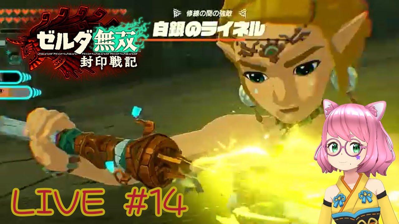 【ゼルダ無双 封印戦記】今日こそ全部いけるかな!? #14