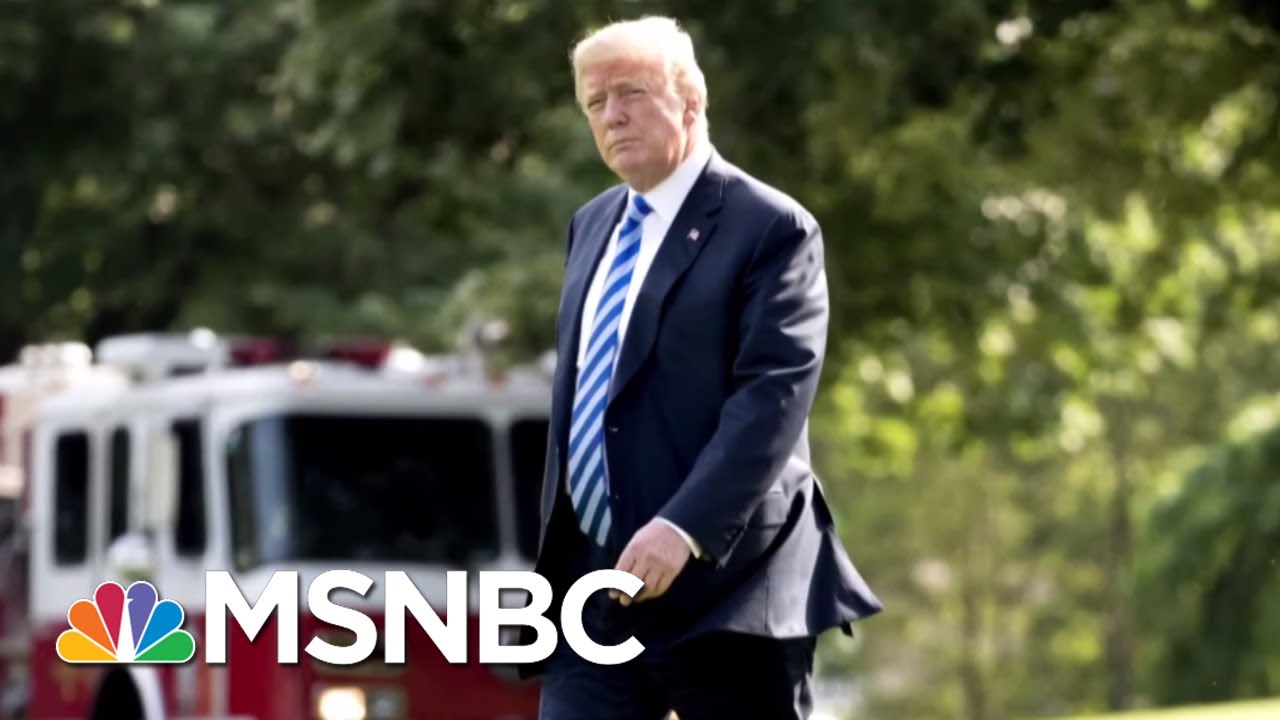 Inside Donald Trump's 2020 Startup | MSNBC