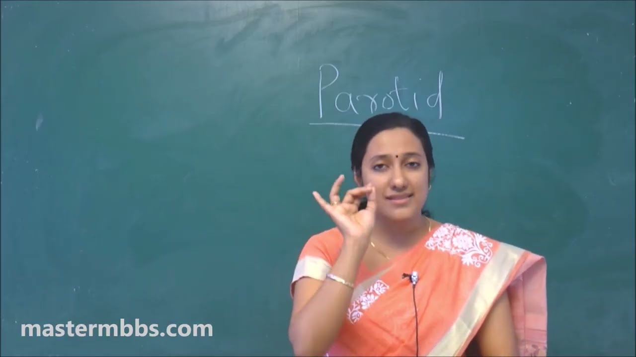 MBBS ANATOMY - Introduction to Parotid Gland