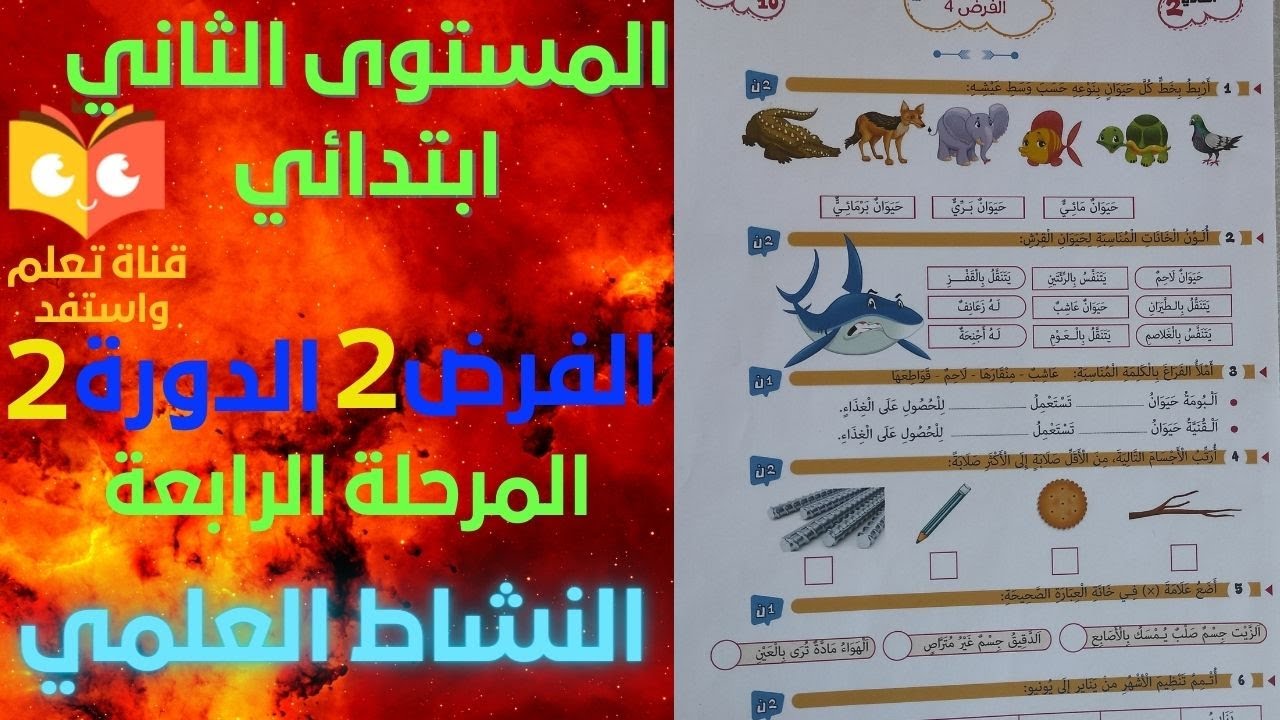 فروض المرحلة الرابعة الفرض الثاني الدورة الثانية فرض النشاط العلمي المستوى الثاني ابتدائي