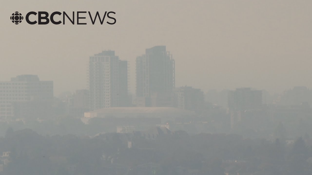 How does wildfire smoke affect human health?