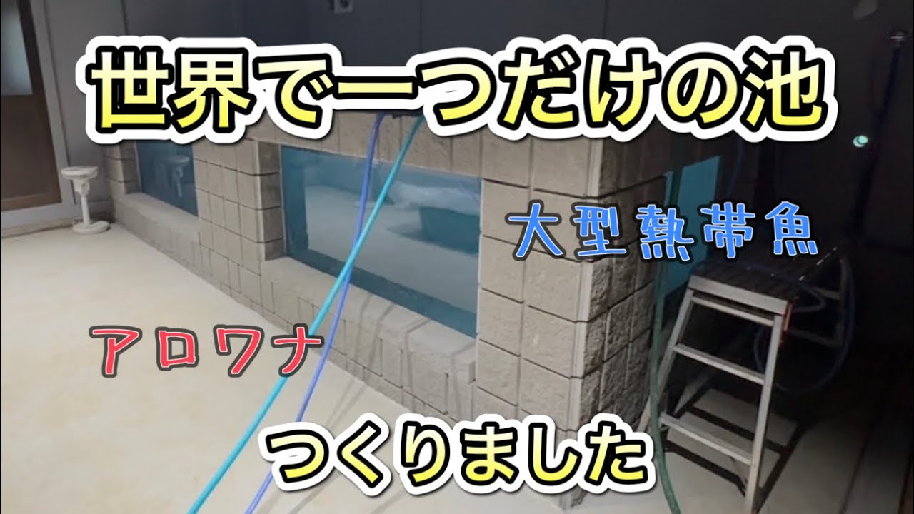 【特別編】超オシャレ！？特大水槽池つくってみた！