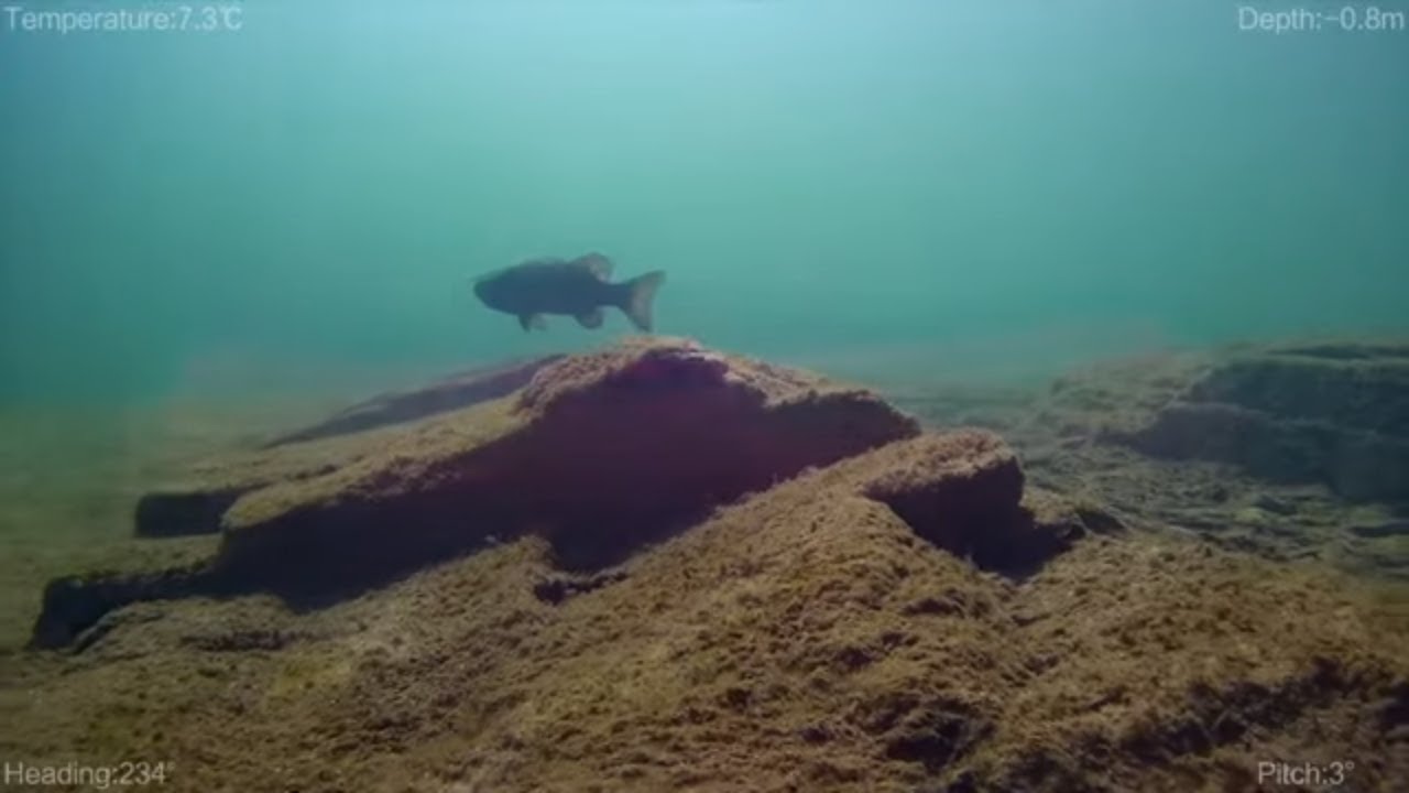 Searching For A Lost French And Indian War FortUpper Tract : Underwater Drone Exploration