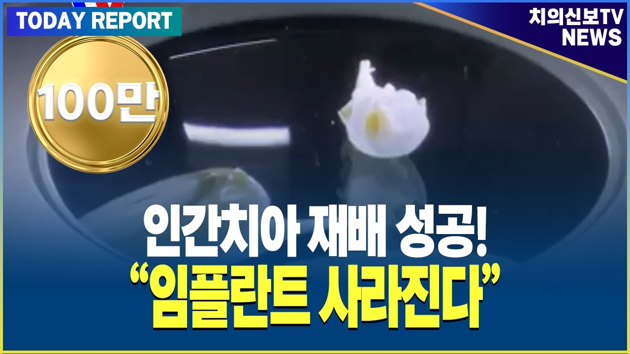 인간치아 재배 성공