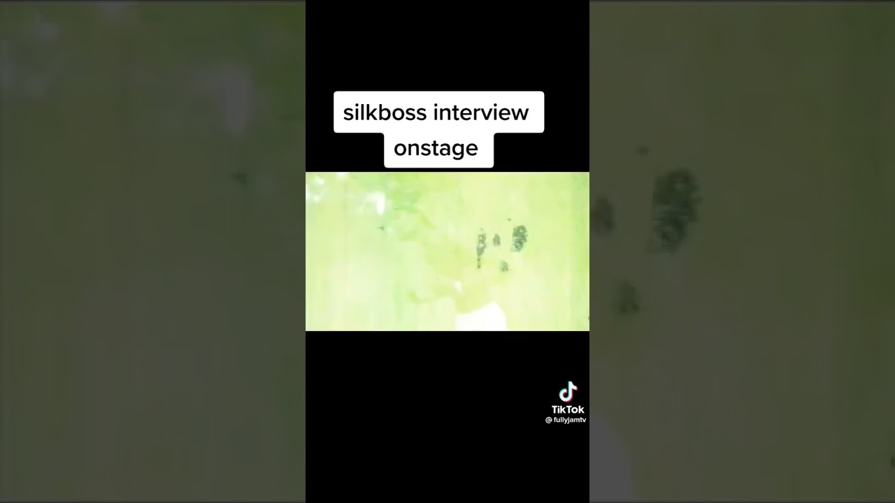 #silkboss
