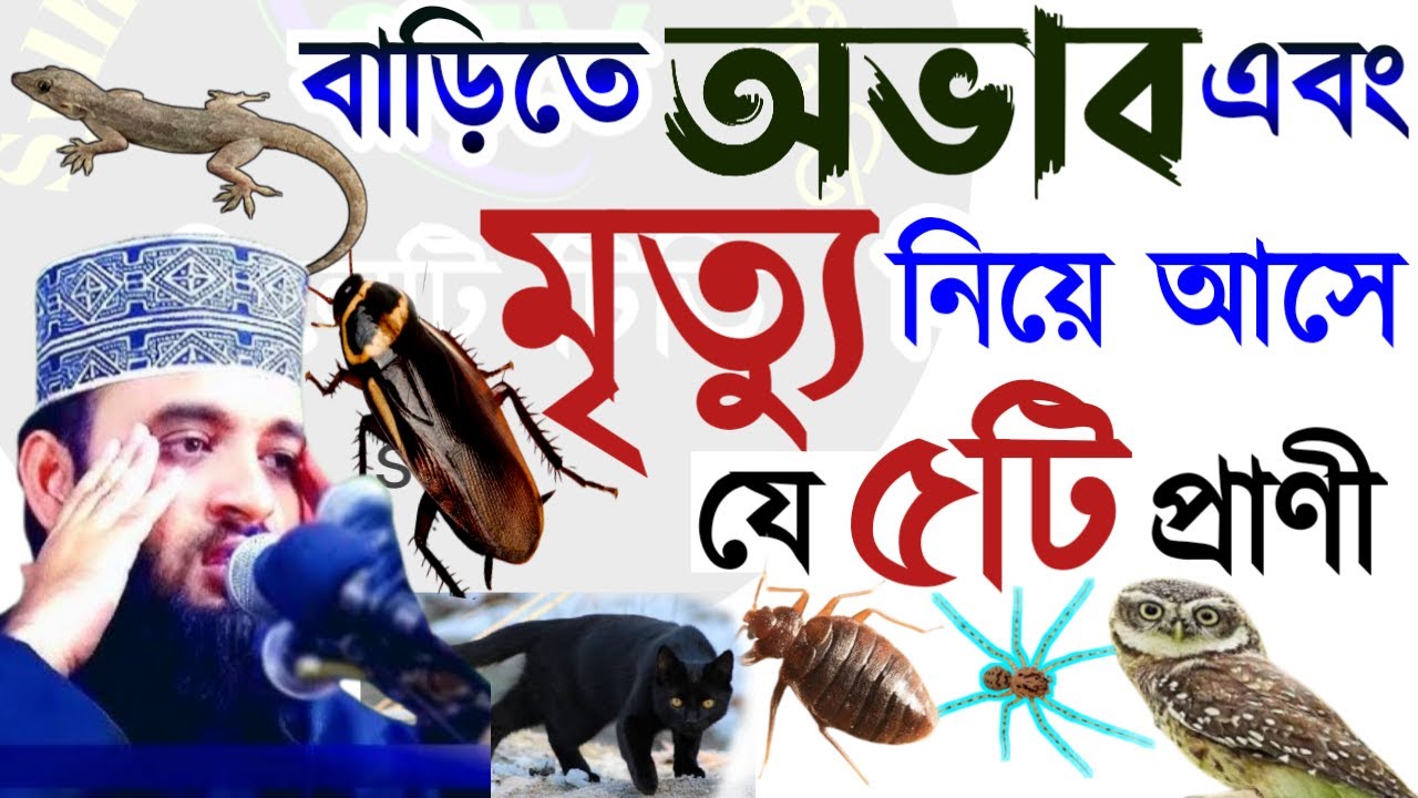 🛑সাবধান বাড়ীতে অভাব এবং মৃত্যু নিয়ে আসে যে ৫ টি প্রান 💚মিজানুর রহমান আজহারী=13 Feb 202608:20