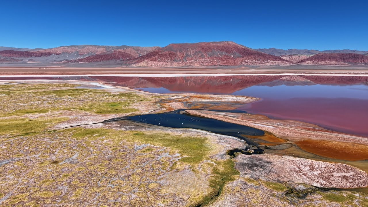 Catamarca’s Puna from Above | Campo de Piedra Pómez, Carachi Pampa & White Dunes | Socompa Travel