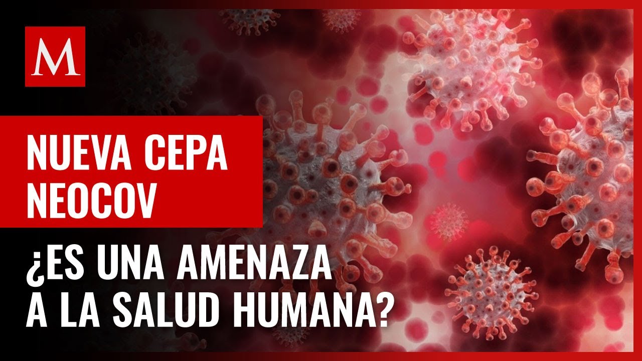 &iquest;Es una amenaza a la salud humana? NeoCov, la nueva cepa que enciende los focos rojos