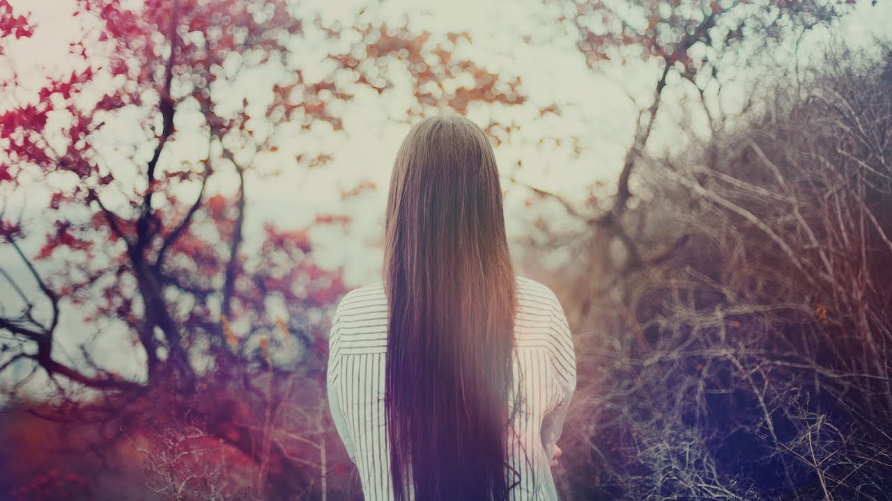 Xandra - Everlong