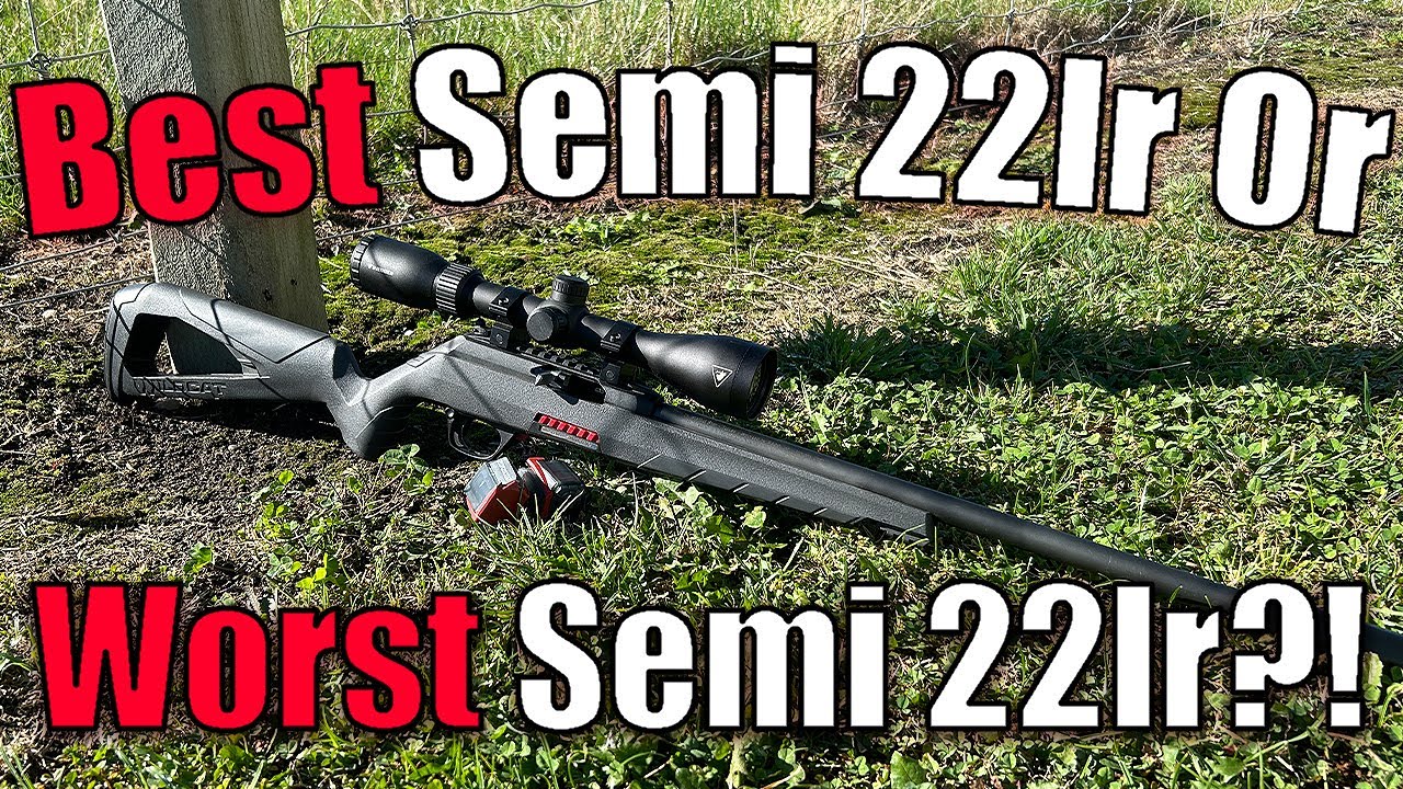 Winchester Wildcat 22LR (обзор спустя год)