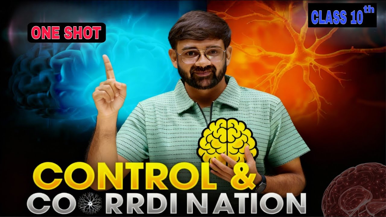 👉 Class 10 Science | Biology | Control and Coordination | Full Chapter Explanation in one shot