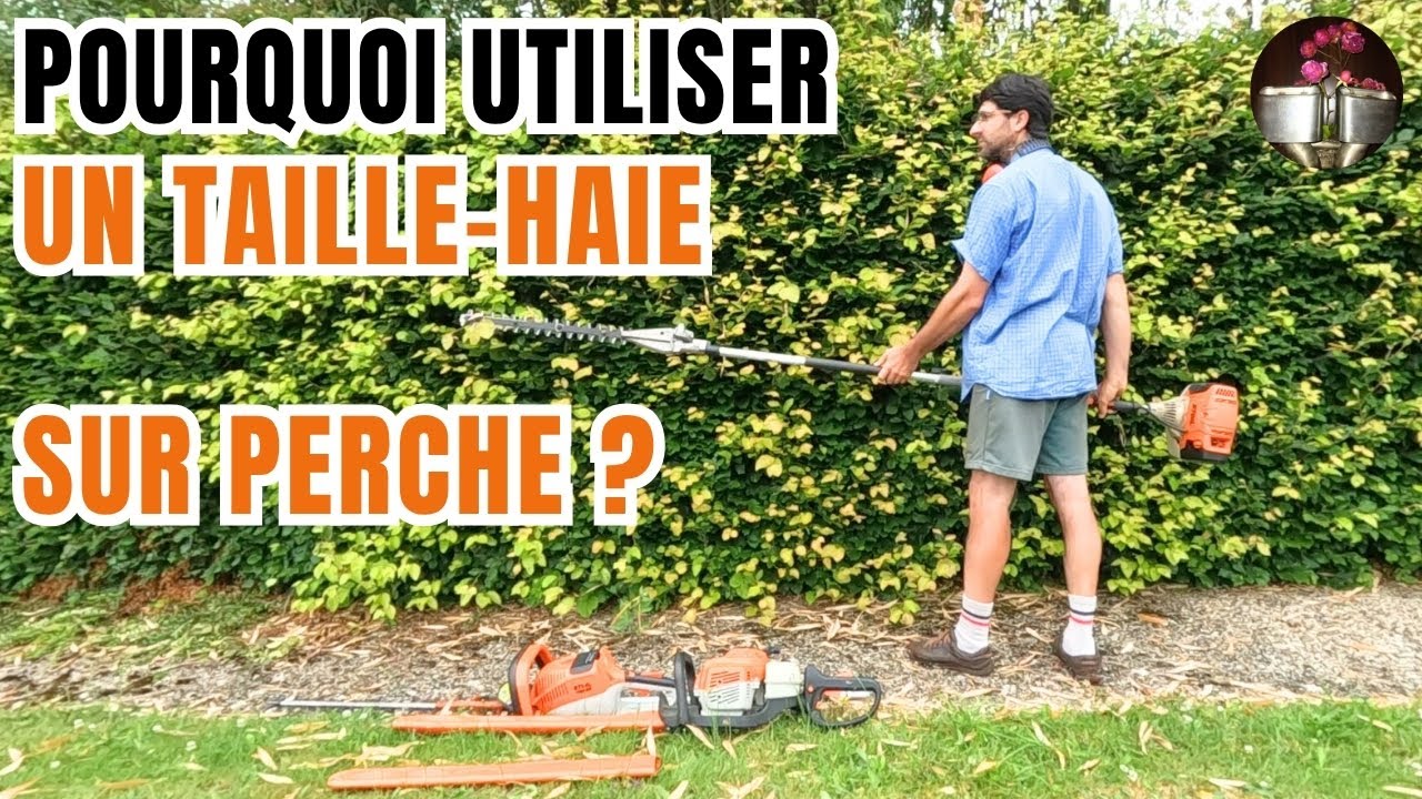 Mes secrets de pro pour tailler. Que choisir ?Comparaison/d&eacute;mo de 3 tailles-haies, -non sponsoris&eacute;e