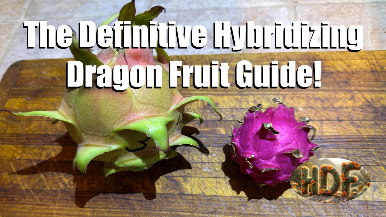Hybridizing Dragon Fruit - The Definitive Hybridizing Dragon Fruit Guide