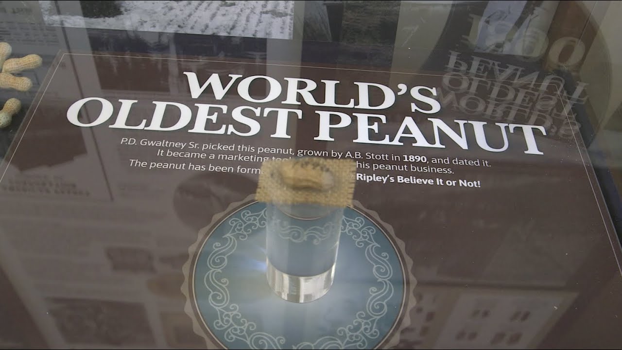 Isle of Wight County Museum | Destination Virginia