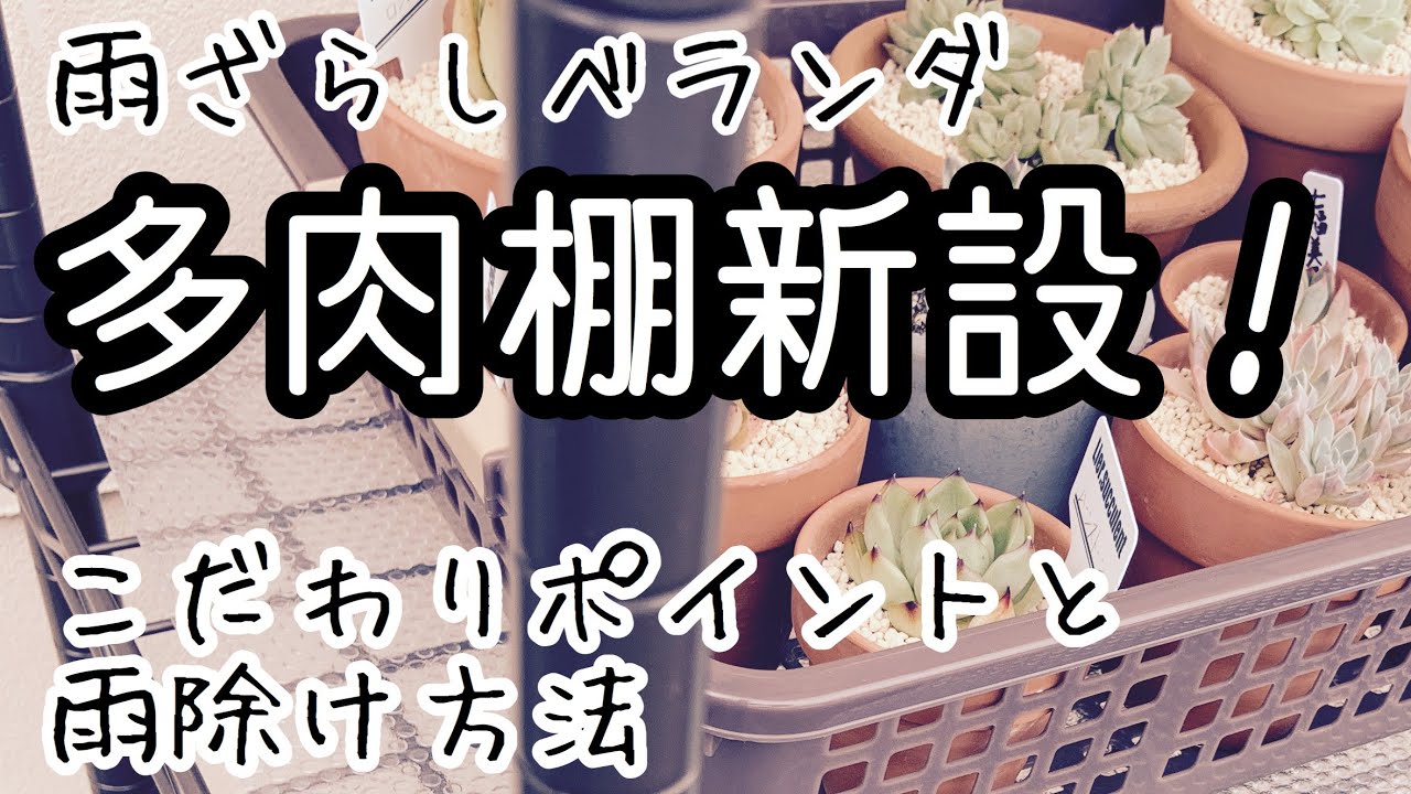 【多肉棚を新設しました！】狭くて不便なベランダに最適の棚？雨はどうやってしのぐ？
