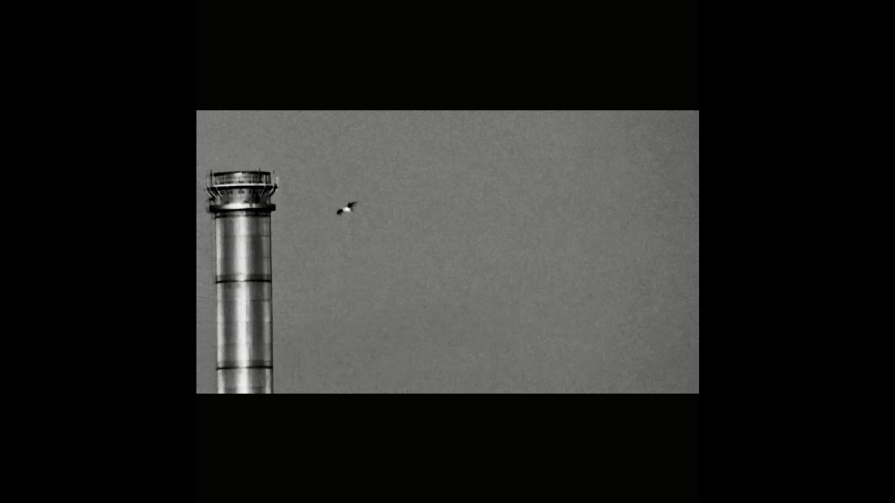 Luna Rosa - Corrugated Steel (Official VID) EXPLICIT