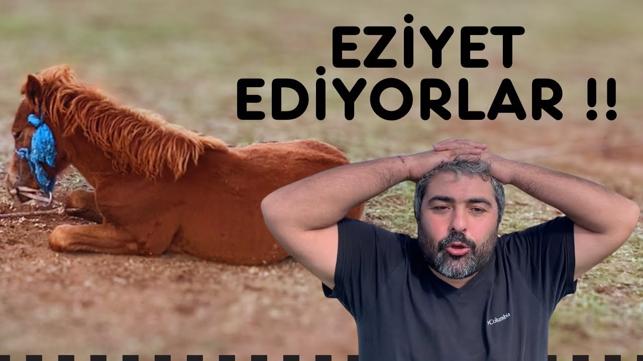 BUNUN ADI RESMEN İŞKENCE! Moğolistan’da Atlarla Yapılan Gösteride Bence Atlara Eziyet Ediyorlar #At