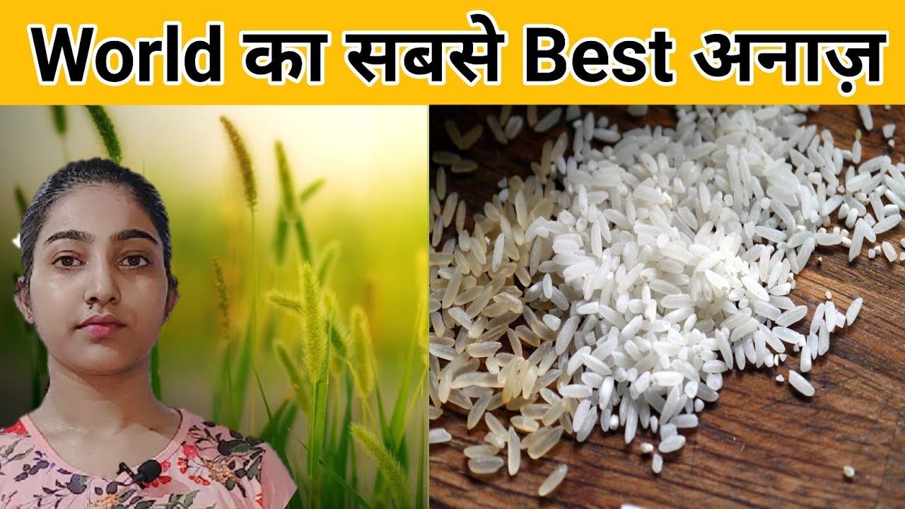 World का सबसे best अनाज़|Alka Thakur