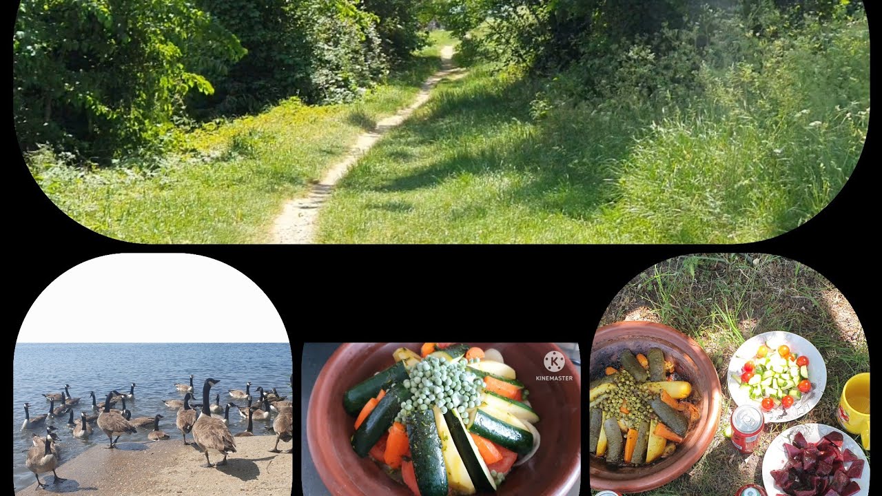 خريجة للطبيعة فيديو كلو رحة نفسية 🍀🌳🇨🇵