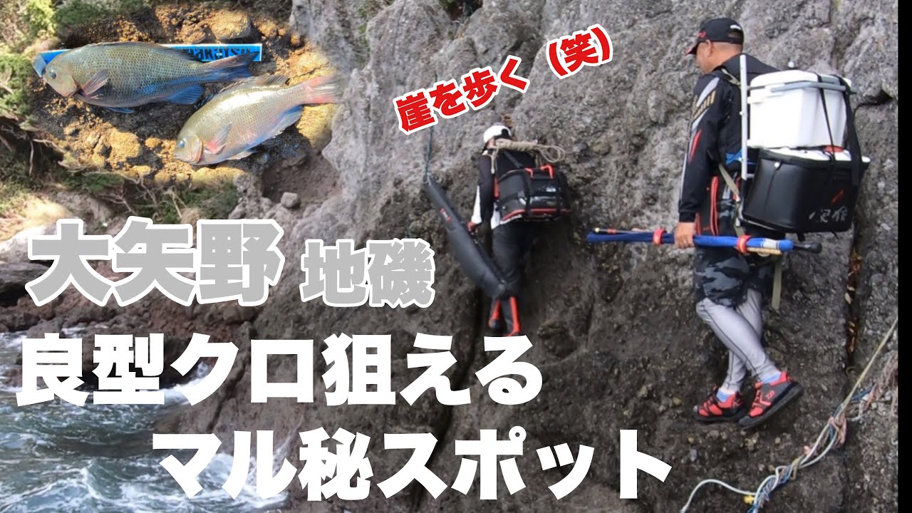 【釣りログ　大矢野地磯】大矢野で良型クロ釣るならココ！チヌ〜青物も狙える！