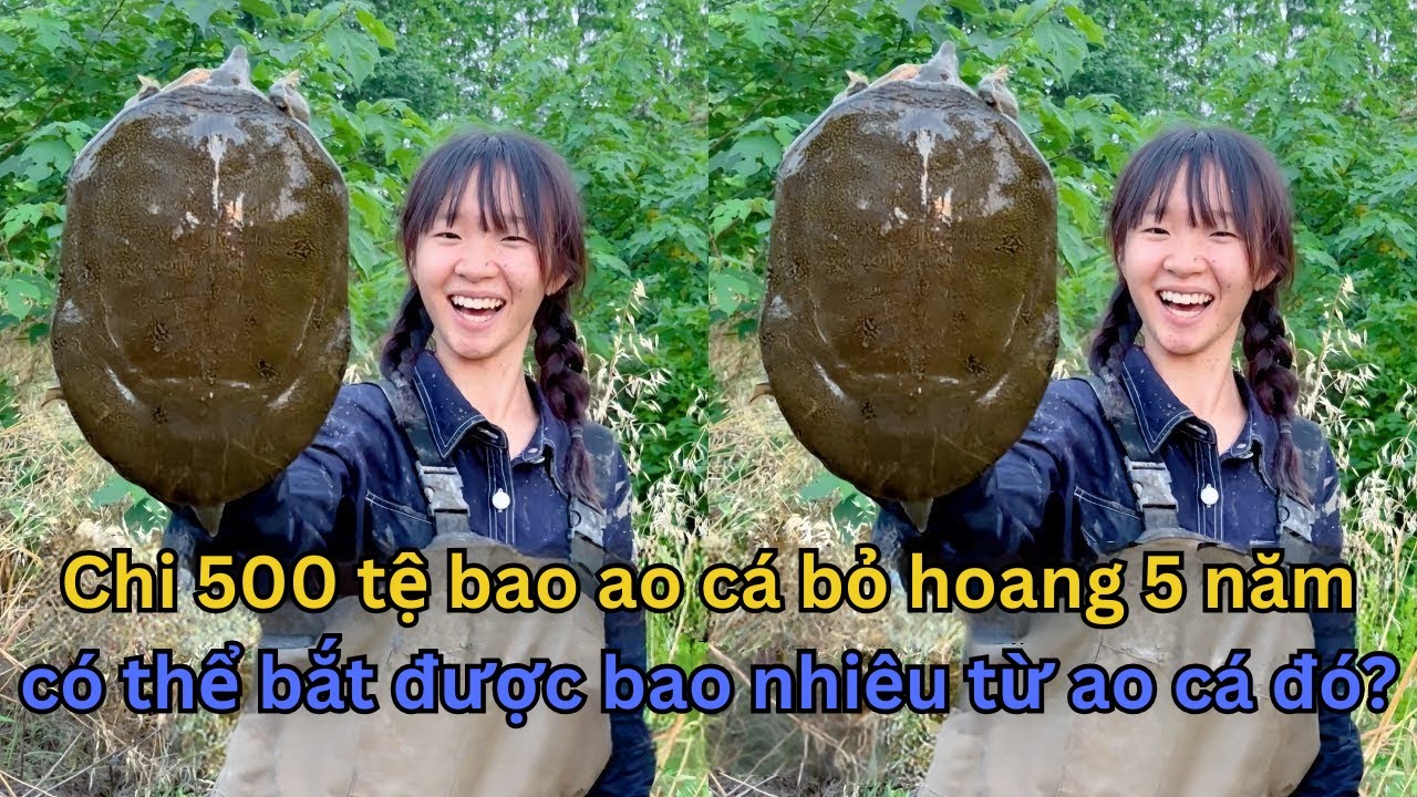 Chi 500 Tệ Với Ao Cá Của Bà, Bí Mật Dưới Lớp Bùn Sâu