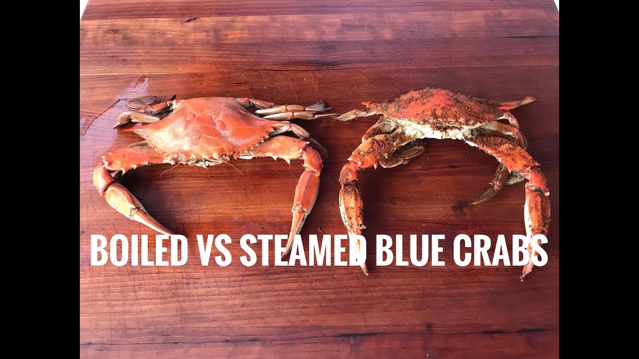 Boiled VS Steamed Blue Crabs | Head To Head Comparison