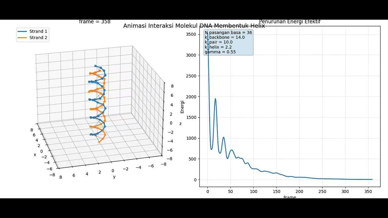 dna double helix-minimum energy principle