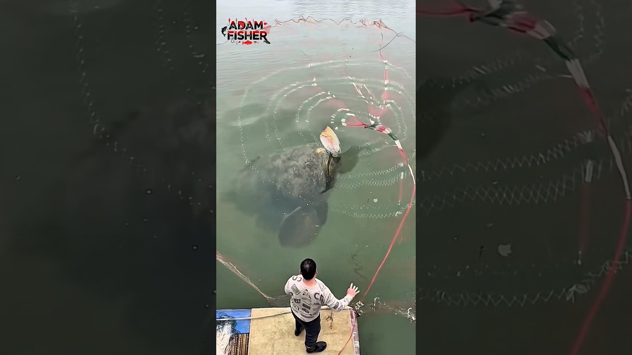 DON&rsquo;T BLINK! SEE WHAT HAPPENS #shorts #fish #fishing #trending #amazing #viralvideo