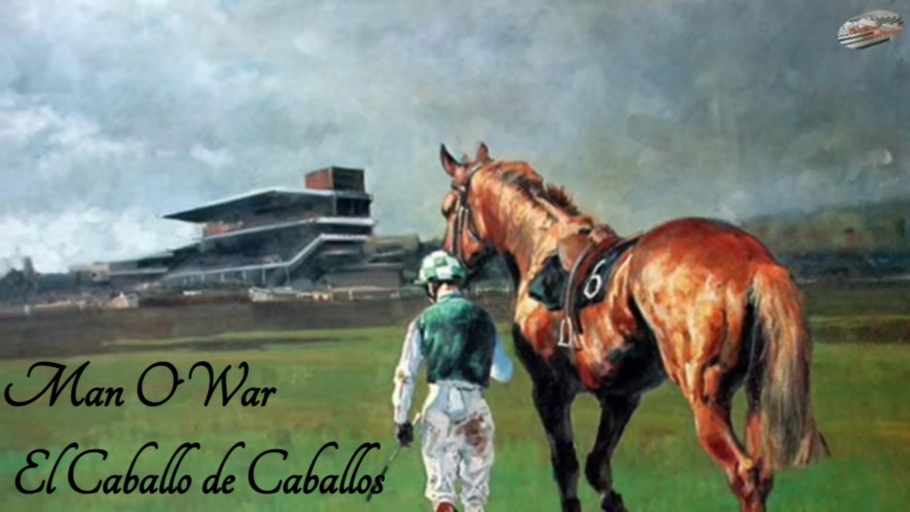 Man O´War El mejor caballo Pura Sangre de carreras del S.XX 🏇🏇