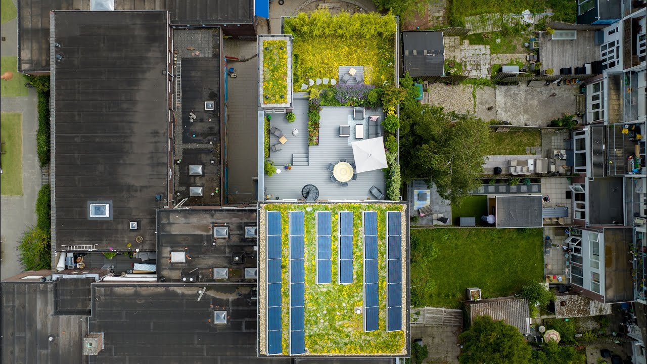 Dakterras realisatie te Rotterdam, een daktuin van Nieuwenhuizen Daktechniek en Groendakcoach!