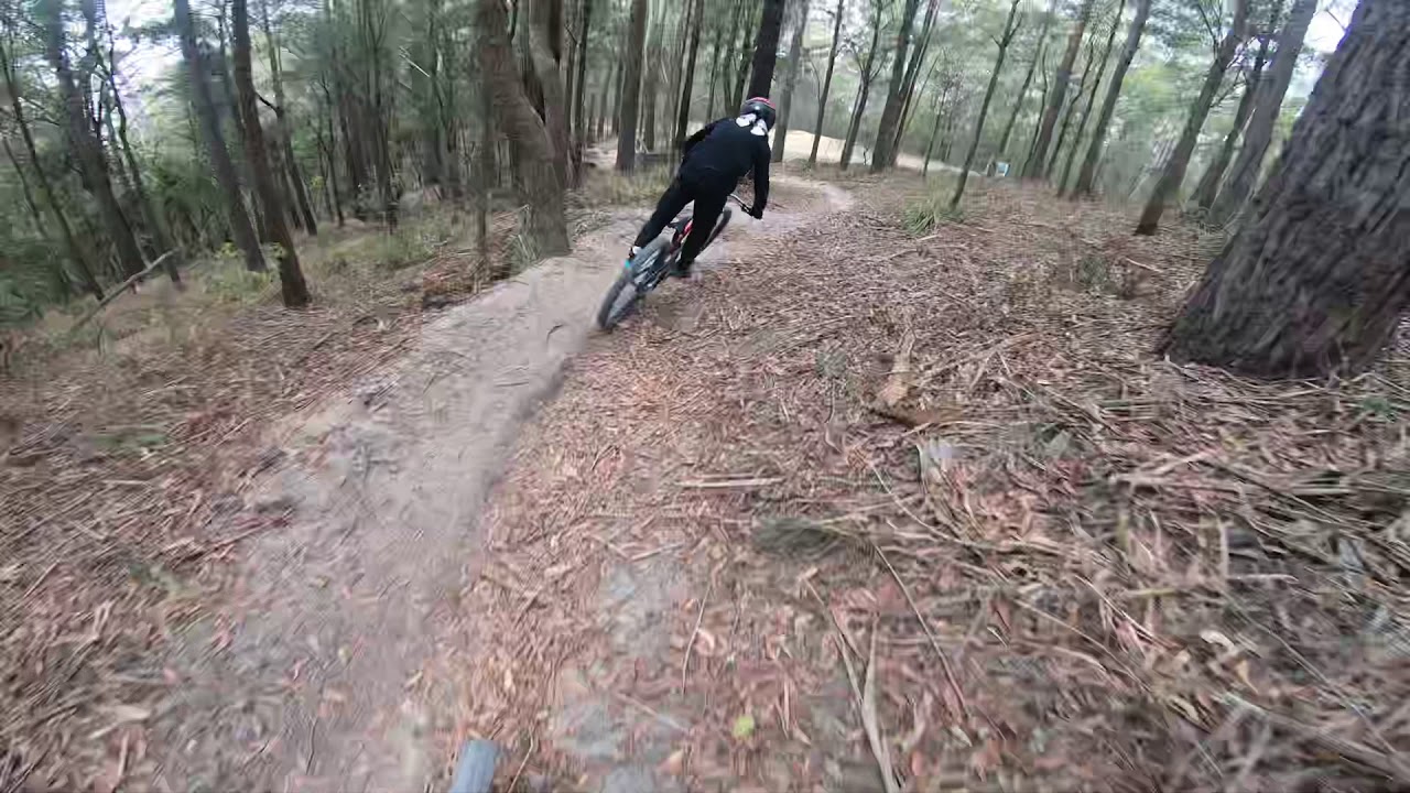 Awaba DH with josh Arcus!💥