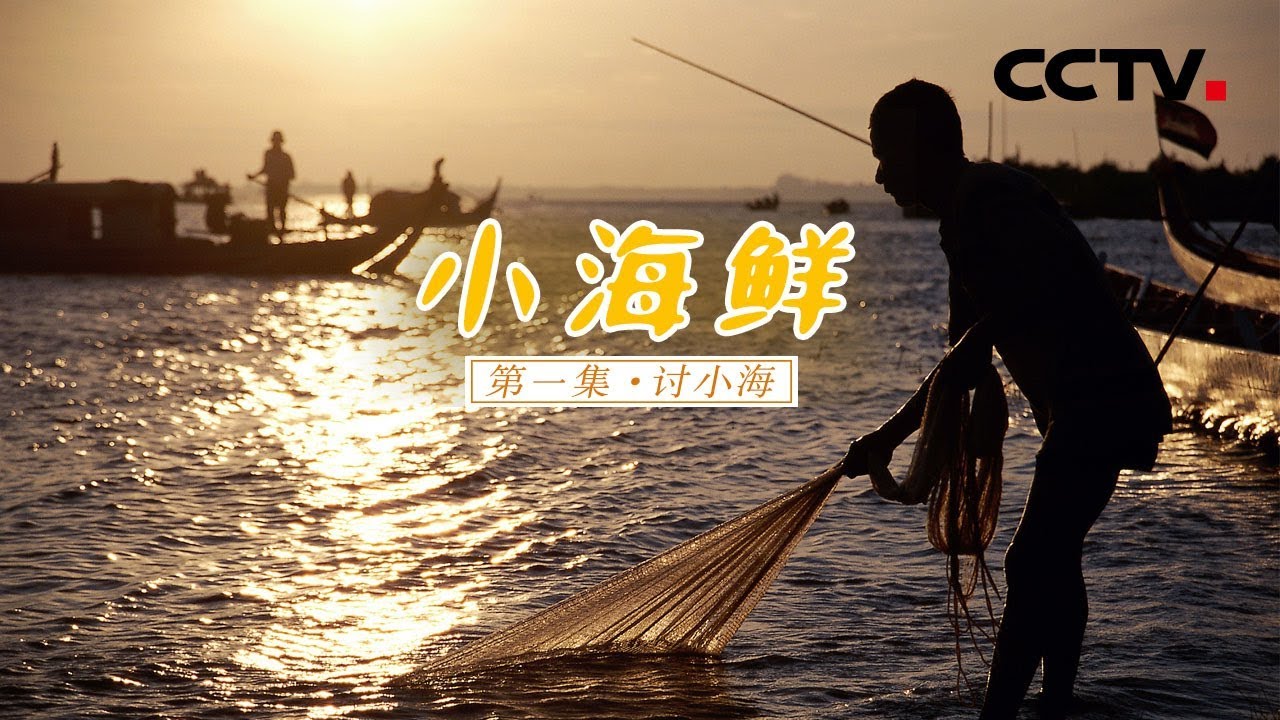 《小海鲜》第一集 讨小海 | CCTV纪录
