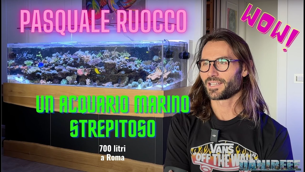 Lo spettacolare acquario marino da 700 litri di Pasquale Ruocco: Coralli duri, acropore e una murena