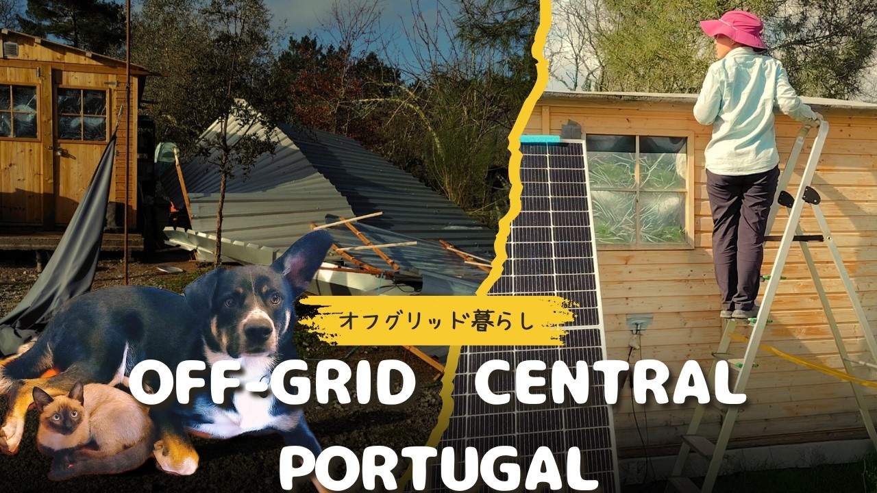 春🌸【犬猫とオフグリッド】屋根崩壊…でも！太陽光めしとポルトガルの田舎の”豊かな”過ごし方。
