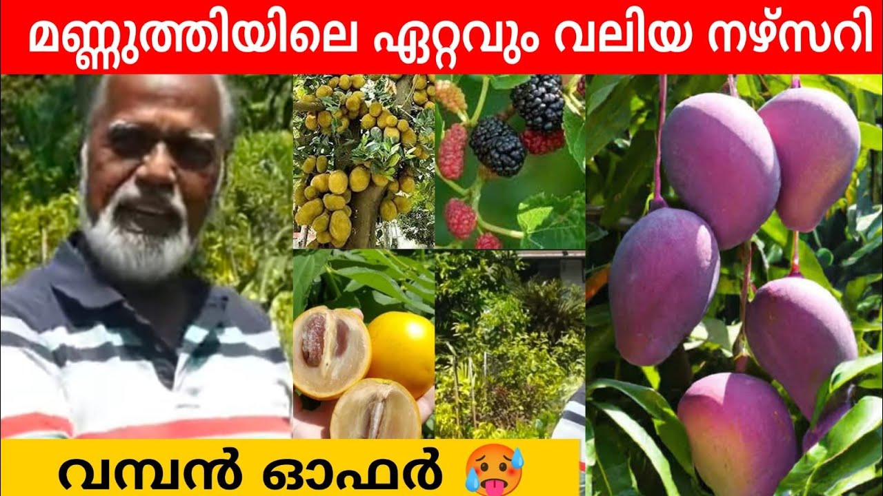 മണ്ണുത്തിയിലെ ഏറ്റവും വലിയ നഴ്സറി | kallada gardens|Exotic Fruit Nursery in Kerala