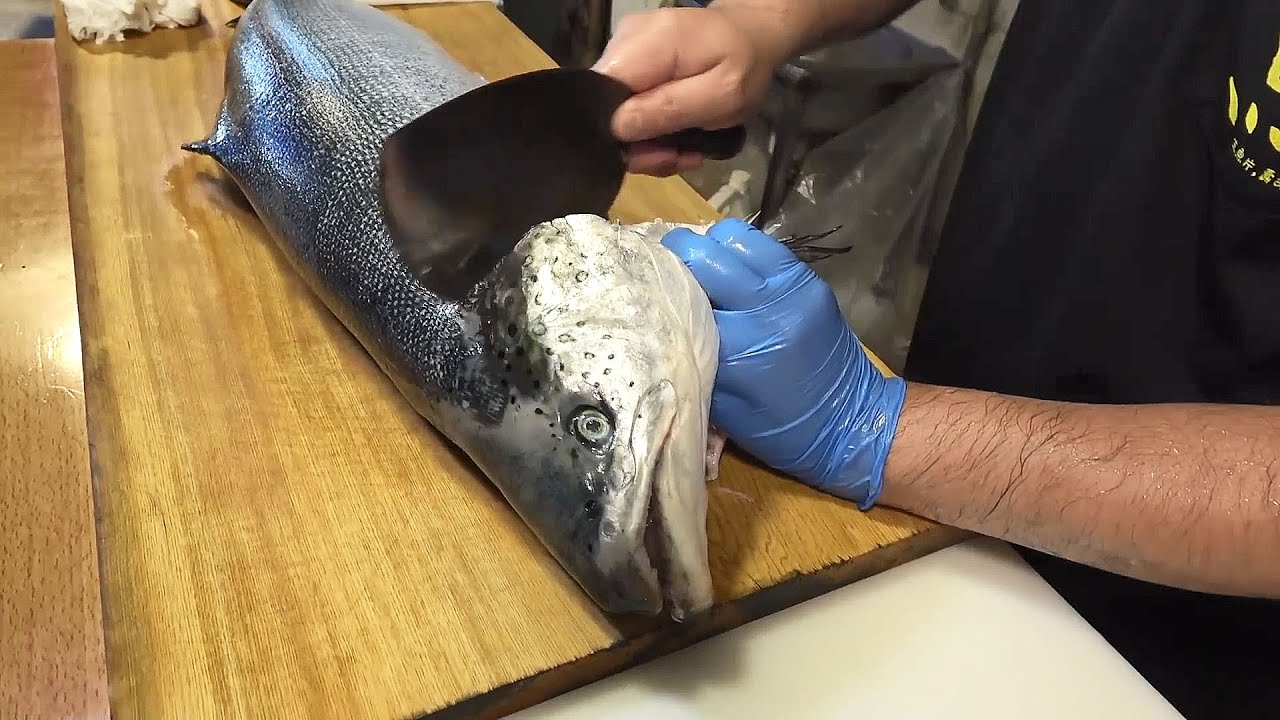 How to Cut a Salmon for making Nigiri Sushi and Sashimi