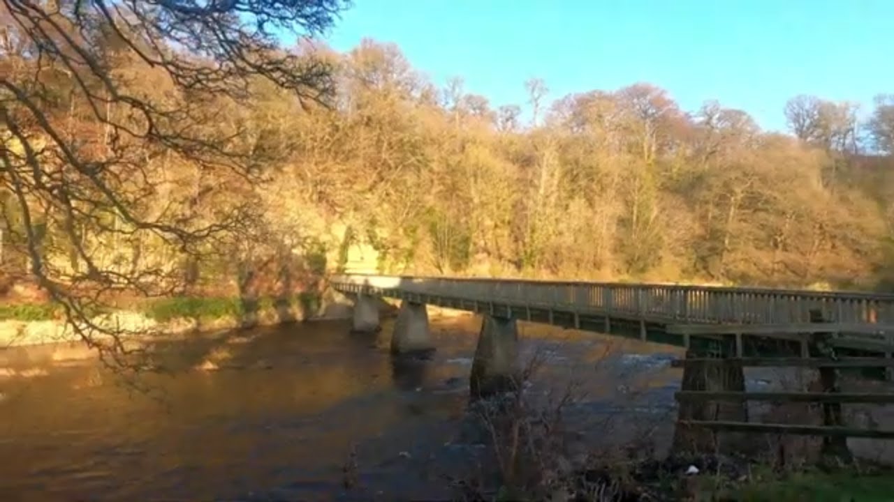 COCKEN WOODS WALK  NEAR FINCHALE ABBEY ALONG THE RIVER WEAR
