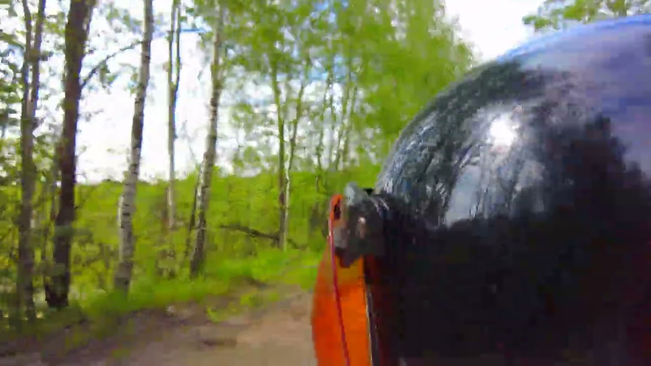 Поездка по красивой лесной дорожке Road King EVO - Harley Davidson