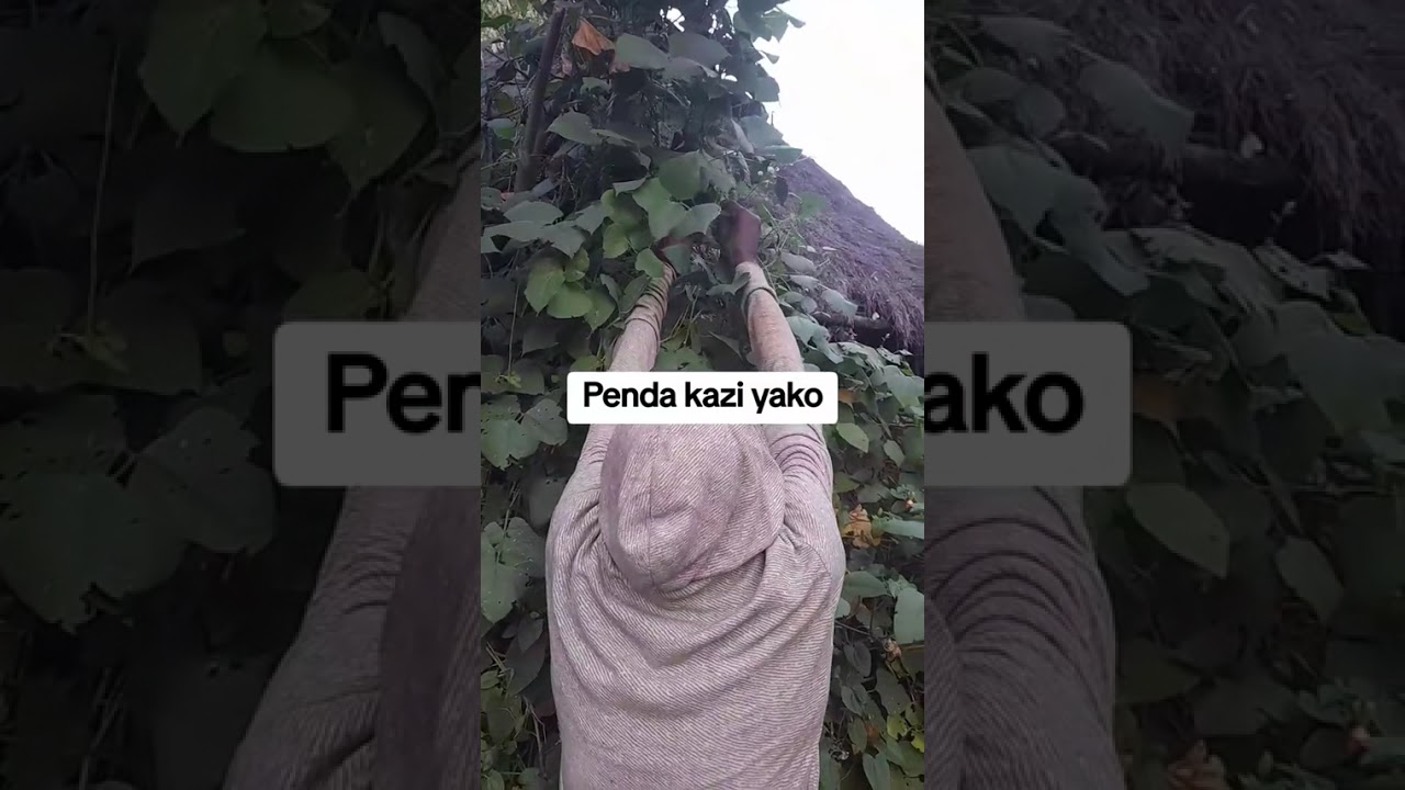 VILLAGE LIFE