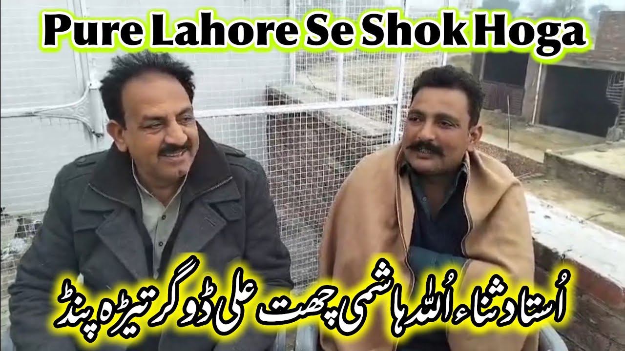 Ali Dogar Ne Lahore K Shokeen Doston K Liye Shok K Hawale Se Pegham Diya