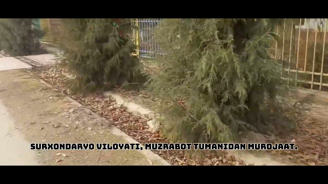 Surxondaryo   Muzrabot tumani hokimiga murojaat qildim, ammo hozirgacha hech qanday samara yo‘q.