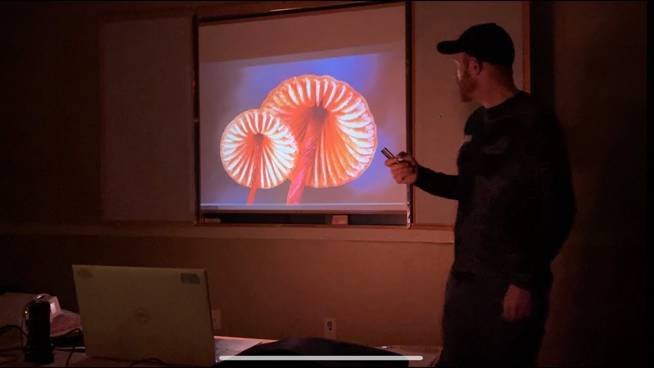 Mushroom Photography Workshop with Alan Rockefeller || NEMF Foray - Part 1/2​